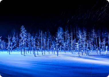 青い池ライトアップ