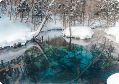 神の子池スノーシューツアー