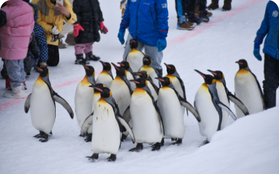 冬の上川エリア(旭川空港エリア)の楽しみ方