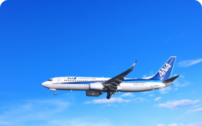 期間限定!直行便運航